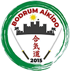 bodrum spor aikido kursları ve eğitimi