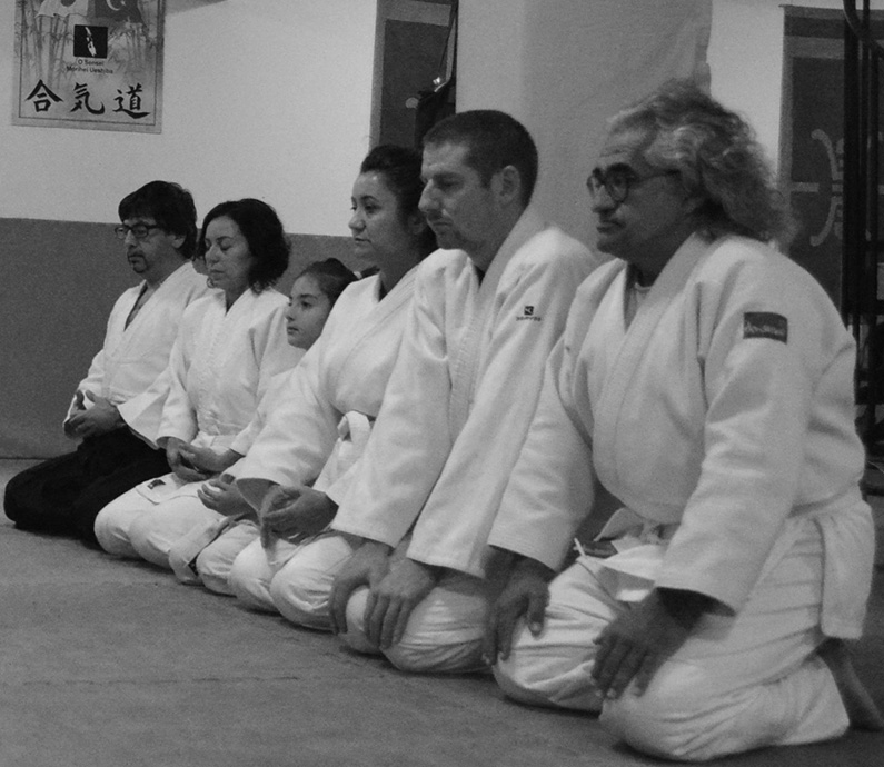 bodrum spor yetişkin aikido kursu ve eğitimi
